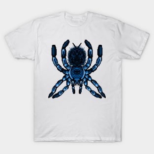 Tarantula Pixel Art 17 T-Shirt